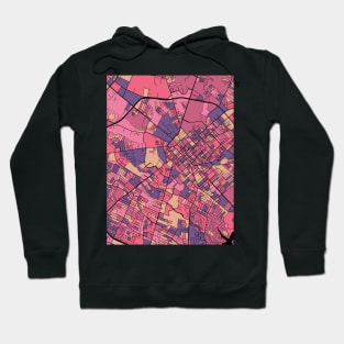 Lexington Map Pattern in Purple & Pink Hoodie